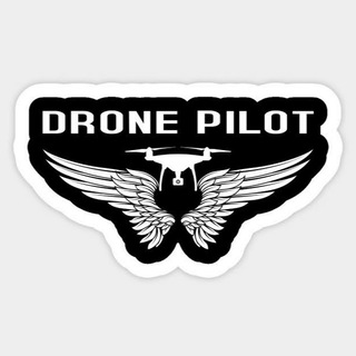 FlyTeam