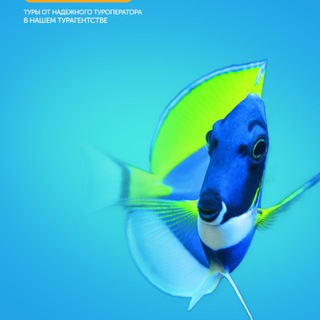 TravelFM