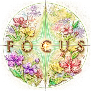 ° F O C U S °