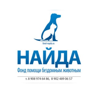 Фонд Найда Владивосток