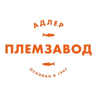 ФОРЕЛЕВОЕ ХОЗЯЙСТВО| СОЧИ