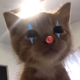 ”circus_