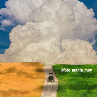 foto_mania_moy