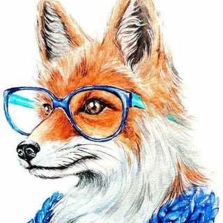 Foxology🤍