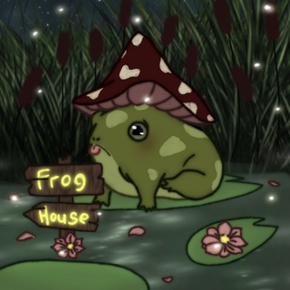 Frog House Shop • kpop • Казань • Донецк