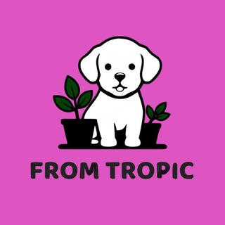 ИЗ ТРОПИКОВ / FROM TROPIC