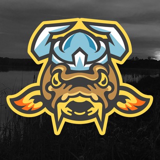 Карпфишинг с Fun Fishing Team