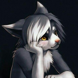 furry🐾