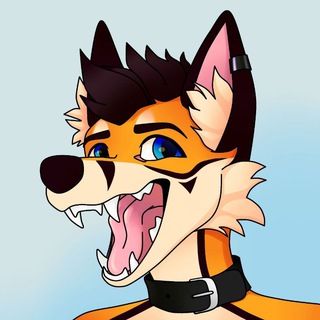 _/\_FURRY_/\_