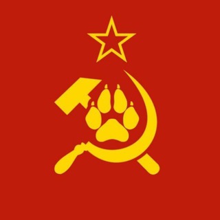 ФурКом 2.0