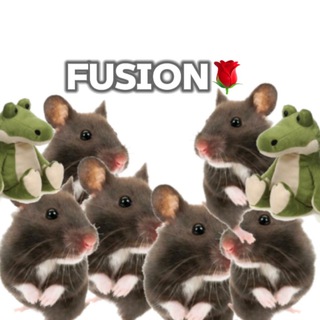 Fusion 🌹