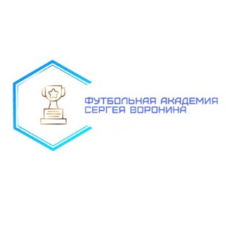 Футбольная академия Сергея Воронина