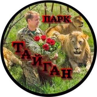 Гадалка