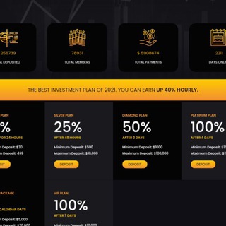 CRYPTOGAINS LTD
