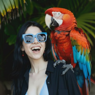 Промпты для Nano Banana 🦜