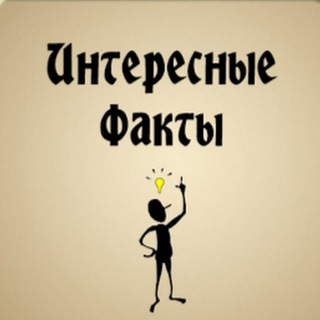 Интересные Факты