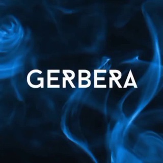 GERBERA MAGAZINE | Журнал GERBERA