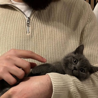 къонакъ