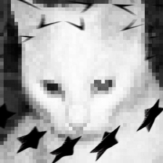 ⁺‧₊°. ⋆༺гост ин зе шелл༻⋆. °₊‧⁺