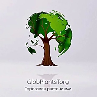 🌿🌳Растения оптом - PlantsTorg 🌳🌿