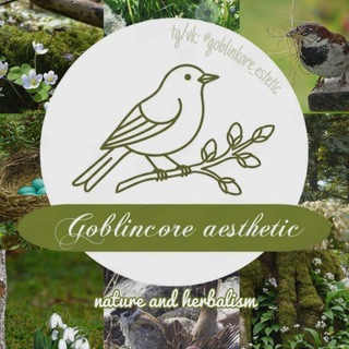 🌱 Goblincore ☀ | Гоблинкор