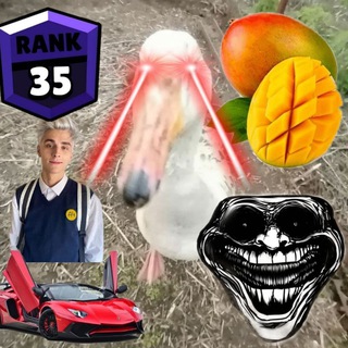 Гусь Семён