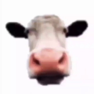 vegan go