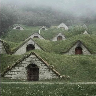 зеленые крыши ⋆.˚꩜