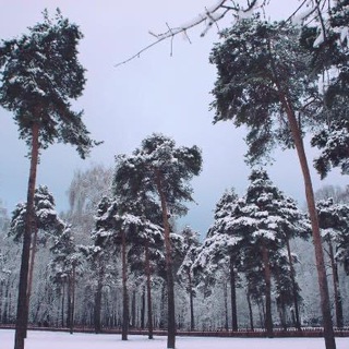 Зелёная Преображенка
