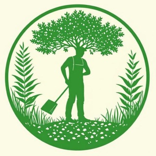 GREEN VAGABOND