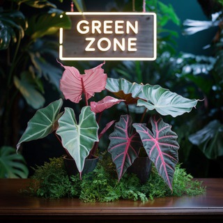 Зеленая Зона•GREEN Zone