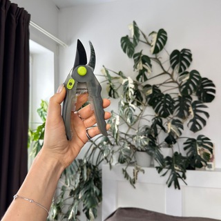 GreenMe_Sale