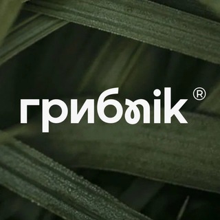 БИОХАКИНГ🧠 I ГРИБNIK™