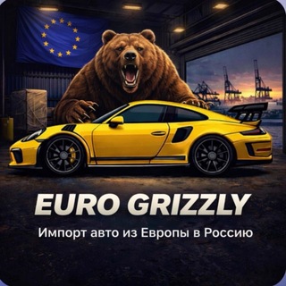 ЕВРО ГРИЗЛИ / Импорт авто из Европы в Россию 🇪🇺