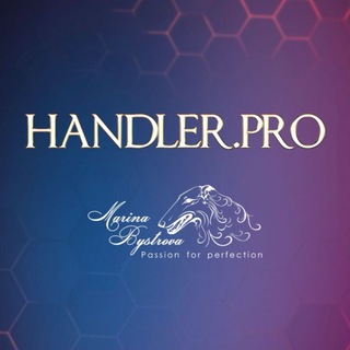 HANDLER.pro 🏆