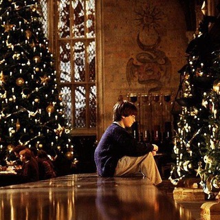 Harry Potter is my Life🔮🪄