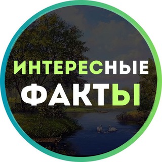 Интересные факты