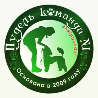 Команда помощи пуделям и мелкашам.Москва