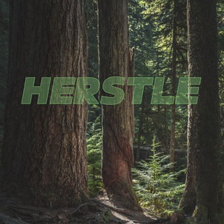 HERSTLE | Заработок на отзывах