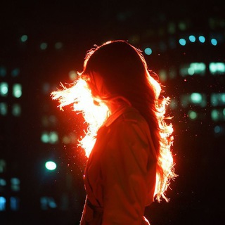 hikari