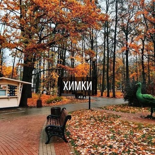 Химки Новости