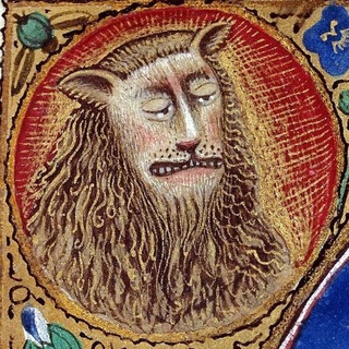 SMART VIKING