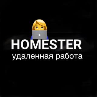 Homester: работа👨🏼‍💻