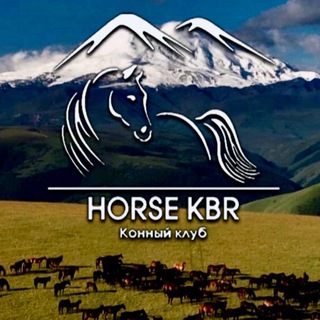 Horse_KBR