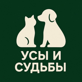 Кавалерия🎠