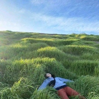 aesthetics