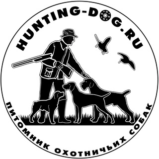 Hunting-dog.ru чат