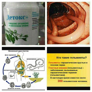 VISION bilan hotirjam HAYOT!!!