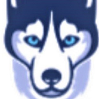 HUSKY BLO