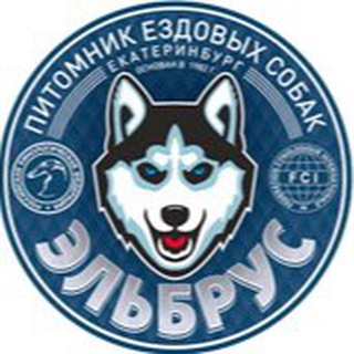 Питомник хаски Эльбрус
